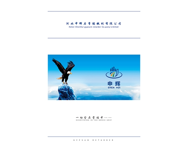 企業(yè)文化 (1)